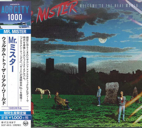 R-9569526-1482927727-7176 Mr. Mister – Welcome To The Real World