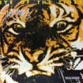 R-9985118-1489694116-9249 Survivor – Eye Of The Tiger