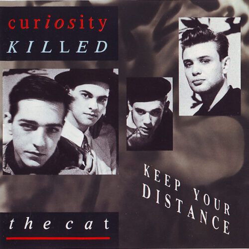 R-361969-1253521207 Curiosity Killed The Cat – Keep Your Distance