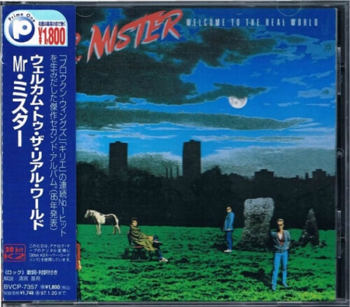 R-10552356-1506519221-9884 Mr. Mister – Welcome To The Real World